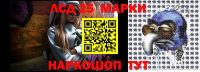 крисы Пенза