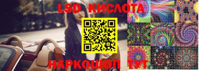 крисы Пенза