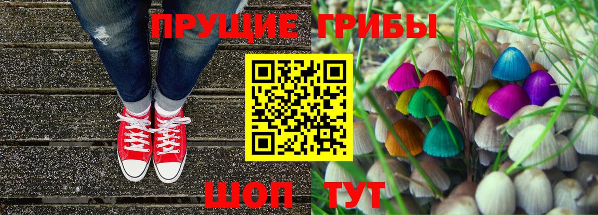 Родники  Псилоцибиновые грибы GOLDEN TEACHER  Вход с VPN 